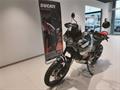 Ducati Vicenza