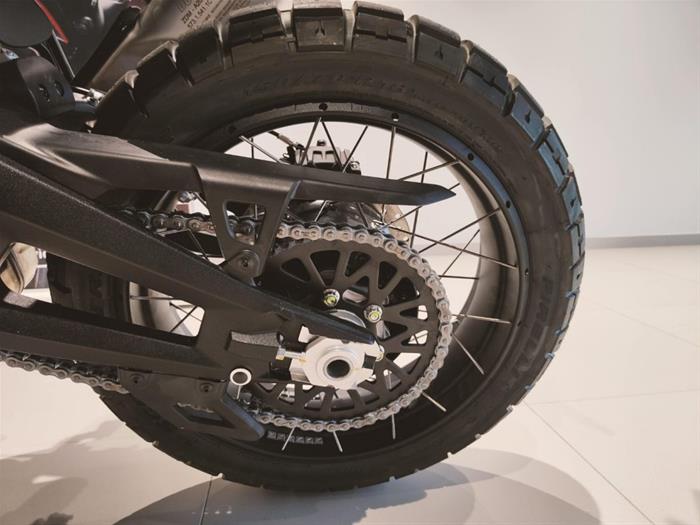 Ducati Vicenza - DUCATI DesertX 937 | ID 26445