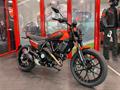 Ducati Vicenza