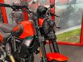 Ducati Vicenza