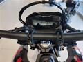 Ducati Vicenza