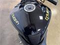 Ducati Vicenza