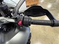 Ducati Vicenza