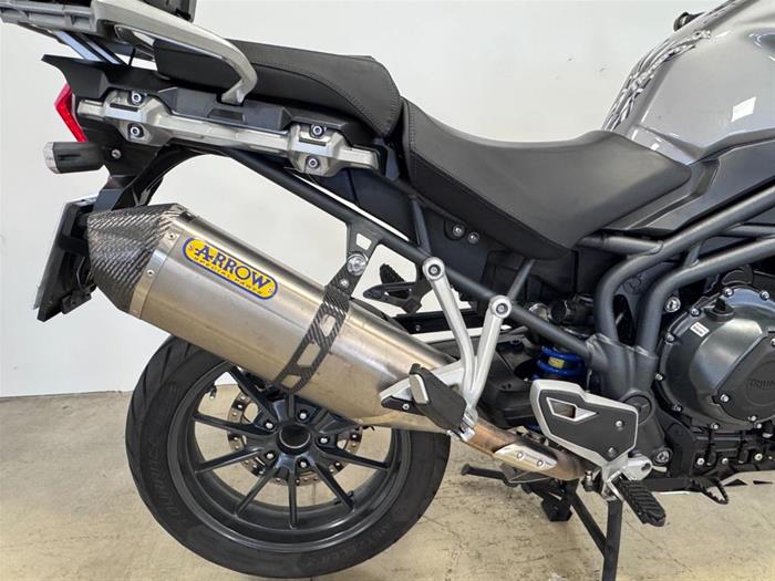 Ducati Vicenza - TRIUMPH Tiger 1215 Explorer | ID 34674