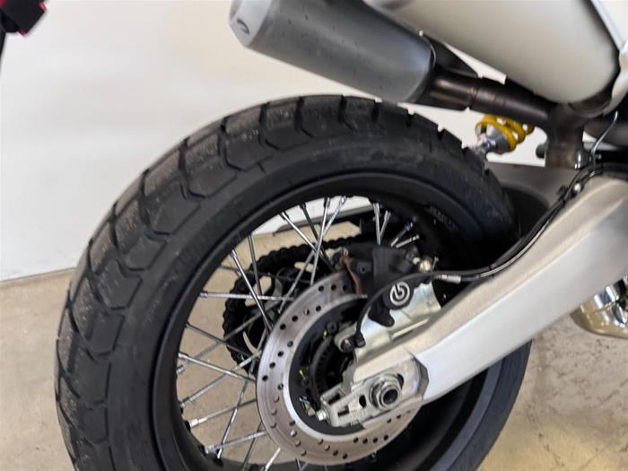 Ducati Vicenza - DUCATI Scrambler 1100 | ID 34767