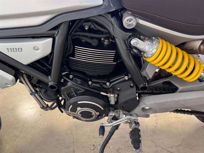 Ducati Vicenza - DUCATI Scrambler 1100 | ID 34767