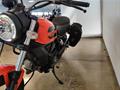 Ducati Vicenza