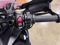 Ducati Vicenza