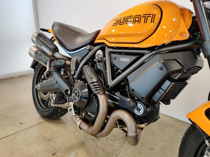 Ducati Vicenza - DUCATI Scrambler 1100 | ID 36056