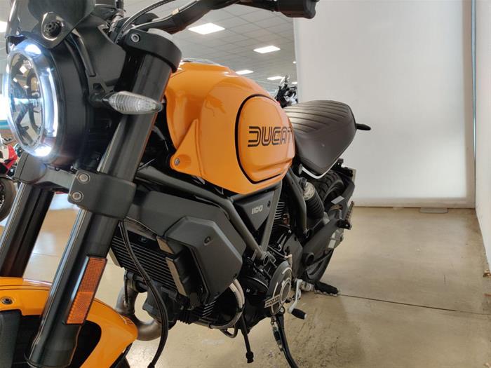 Ducati Vicenza - DUCATI Scrambler 1100 | ID 36056