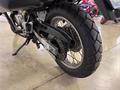 Ducati Vicenza