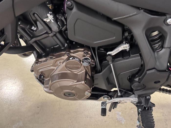 Ducati Vicenza - HONDA Africa Twin CRF 1100 L | ID 36151