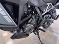 Ducati Vicenza