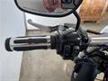 Ducati Vicenza
