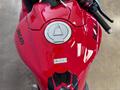 Ducati Vicenza