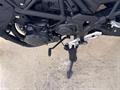 Ducati Vicenza