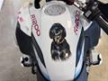 Ducati Vicenza