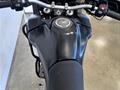 Ducati Vicenza