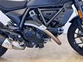 Ducati Vicenza