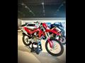 Ducati Vicenza