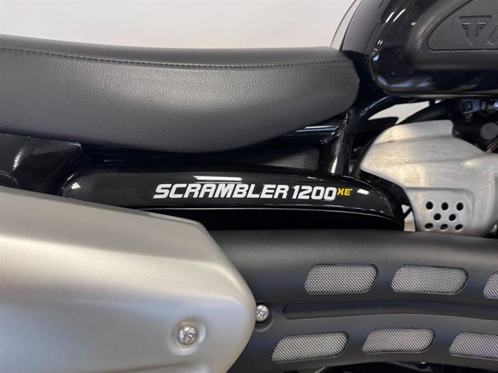 Ducati Vicenza - TRIUMPH Scrambler 1200 XE | ID 38121