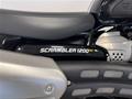 Ducati Vicenza