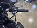 Ducati Vicenza