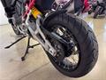 Ducati Vicenza
