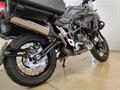 Ducati Vicenza