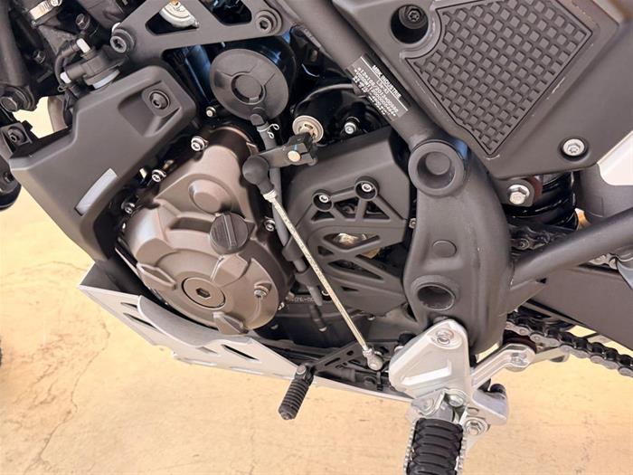 Ducati Vicenza - YAMAHA Ténéré 700 | ID 38725