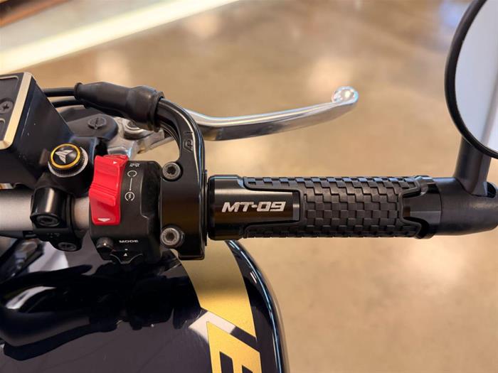 Ducati Vicenza - YAMAHA MT-09 | ID 38892