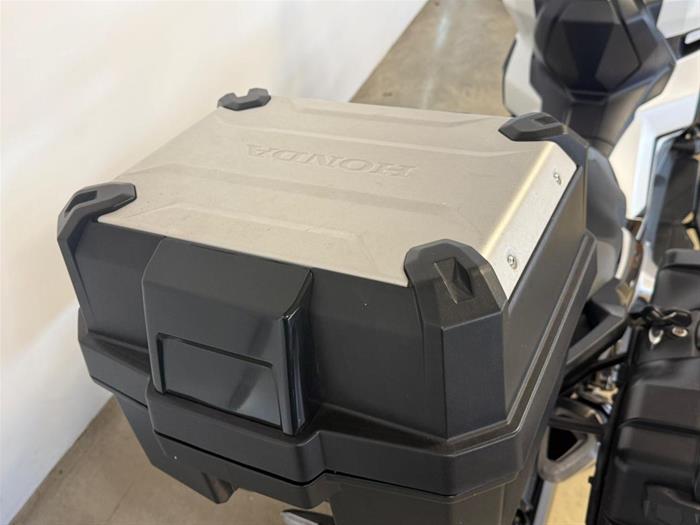 Ducati Vicenza - HONDA X-ADV 750 | ID 39032