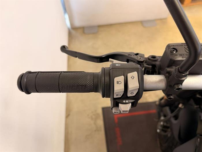 Ducati Vicenza - DUCATI Scrambler 800 | ID 39668