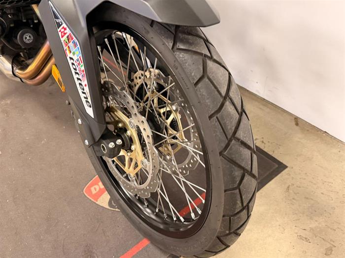 Ducati Vicenza - HONDA Transalp XL750 | ID 40281