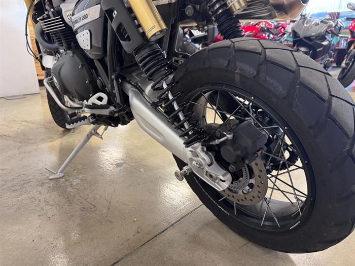 Ducati Vicenza - TRIUMPH Scrambler 1200 XE | ID 41401