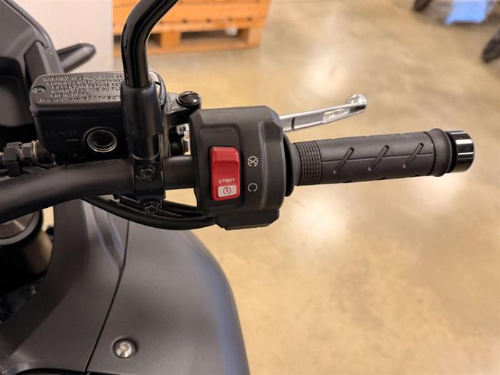 Ducati Vicenza - HONDA Transalp XL750 | ID 41580